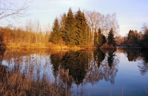 Im Biberrevier - Exkursion bei den Donauauen Elchingen für Familien (Kinder ab 8 Jahren) , Jung und Alt