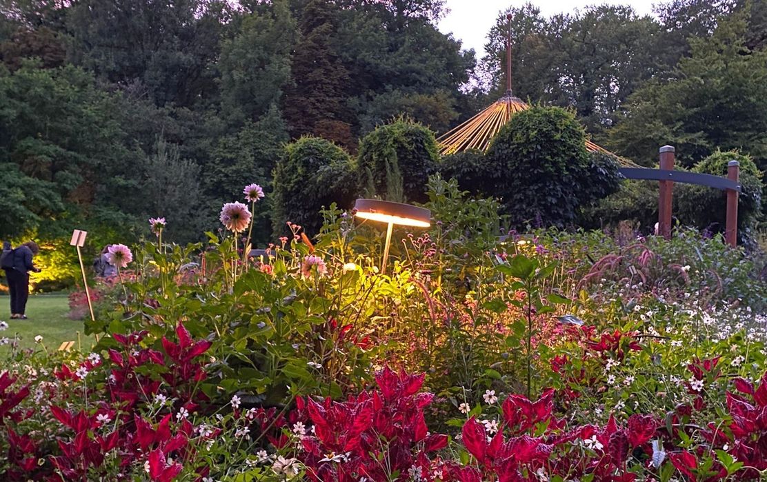 Lichterzauber im Botanischen Garten