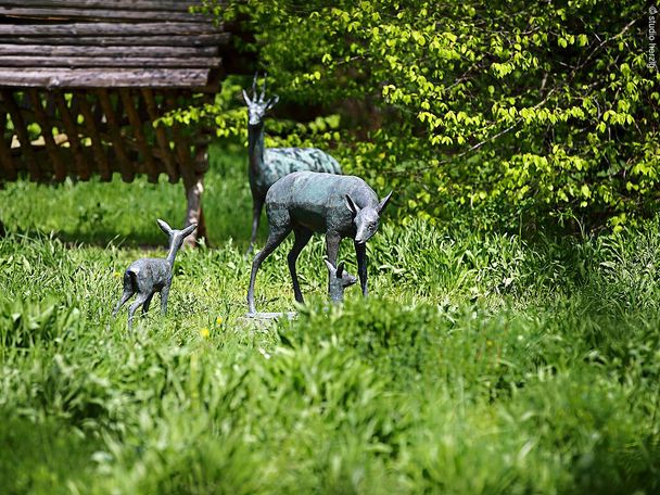 14222347_naturlehrgarten1.jpg