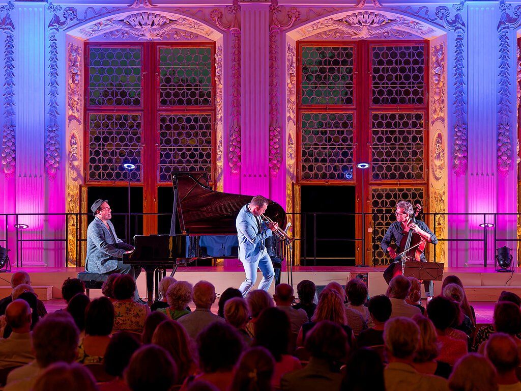 Internationales Violinfestival