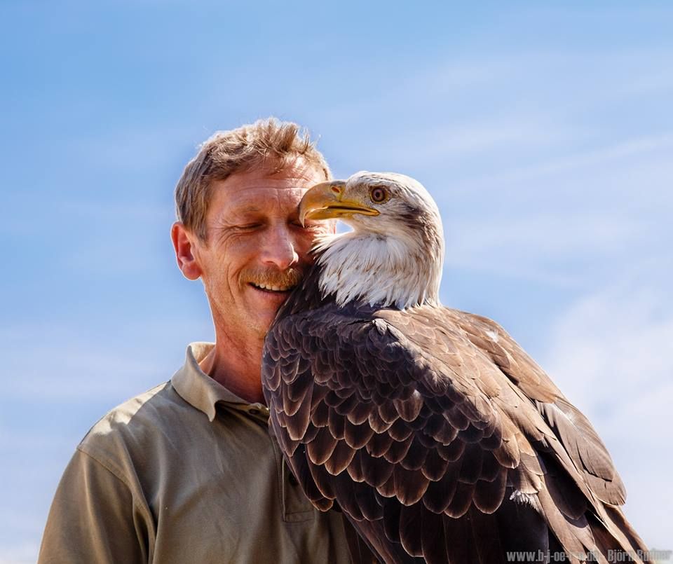 Greifvogelpark Menter