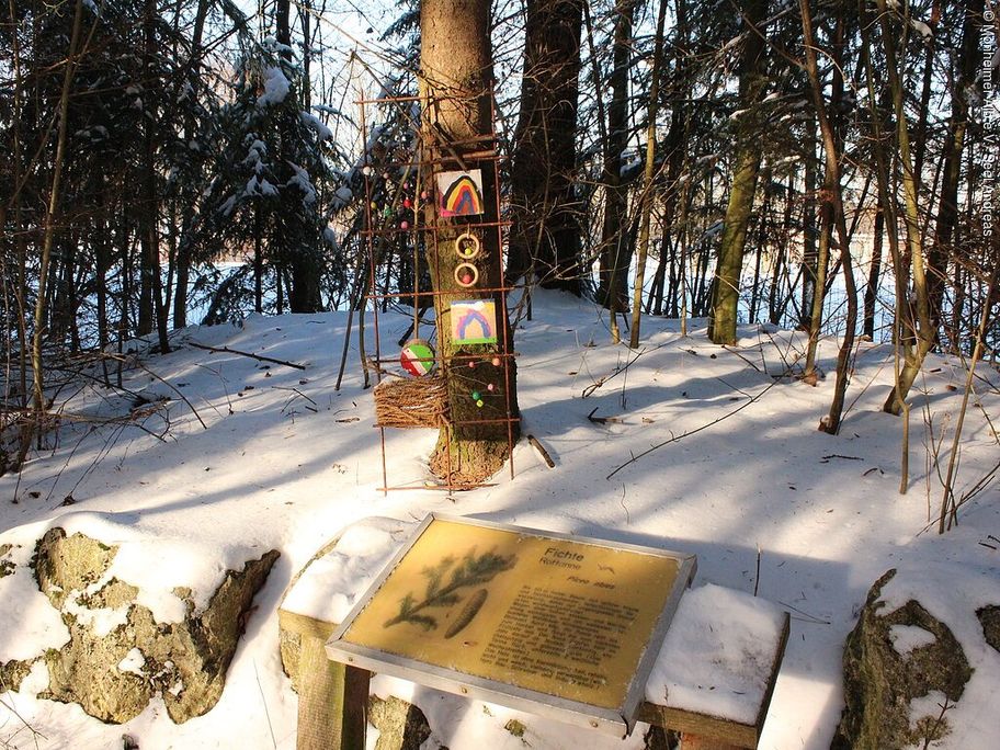 18067723_waldpark-huisheim-infotafel-mit-kunst.jpg
