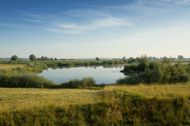 Gundelfinger Moos