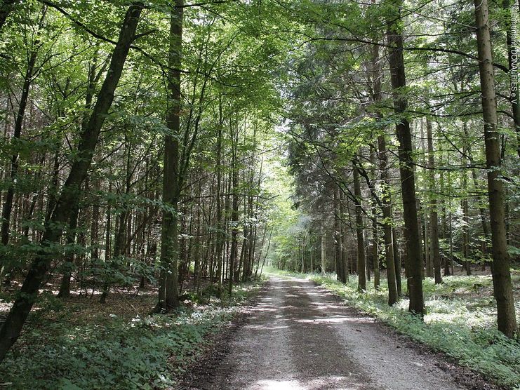Eisbrunnrundweg