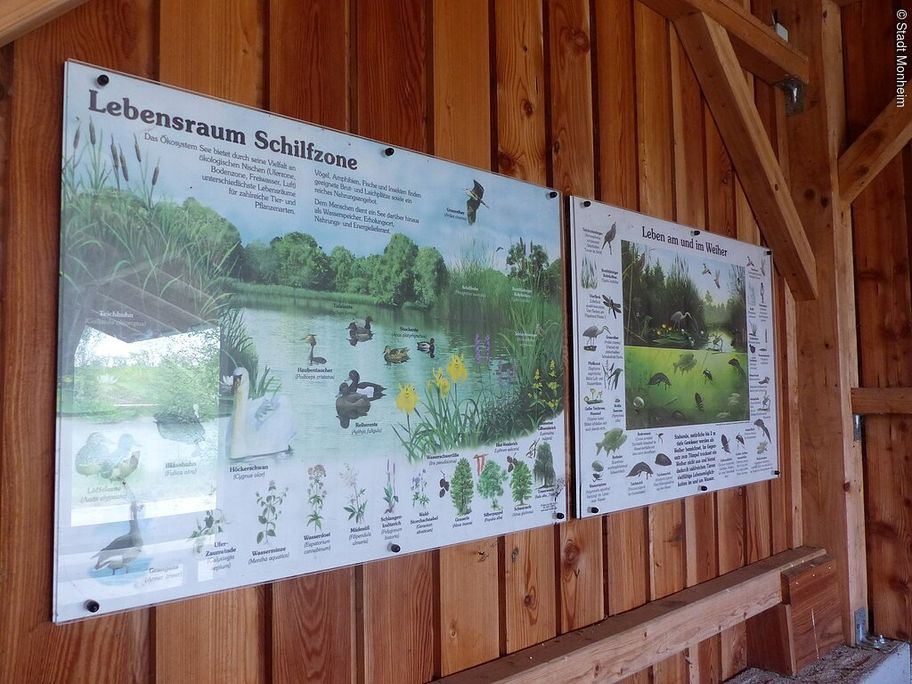 17939023_fischerei-lehrhuette-monheim-mit-informationen-zum-lebensraum-weiher.jpg