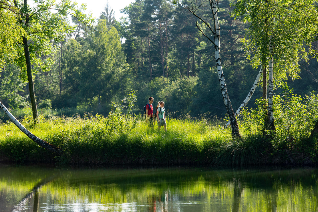 Wanderer auf dem DonAUwald
