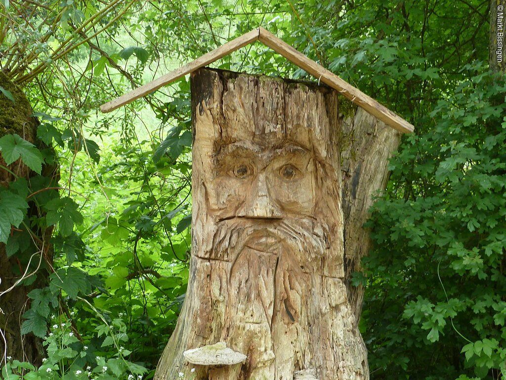 Baumlehrpfad am Marbach