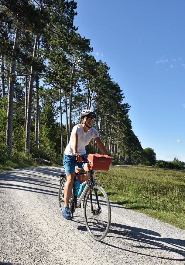 Augsburger Stadtwald