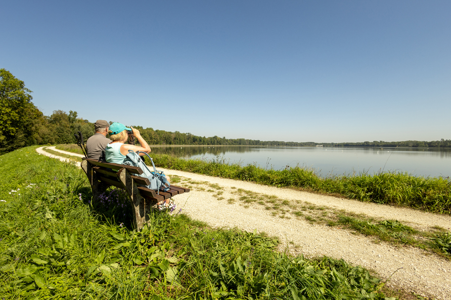 Vogelbeobachtung am Faiminger Stausee