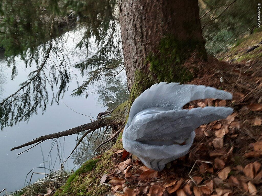 Erlebnisführung durch das Schwalbtal