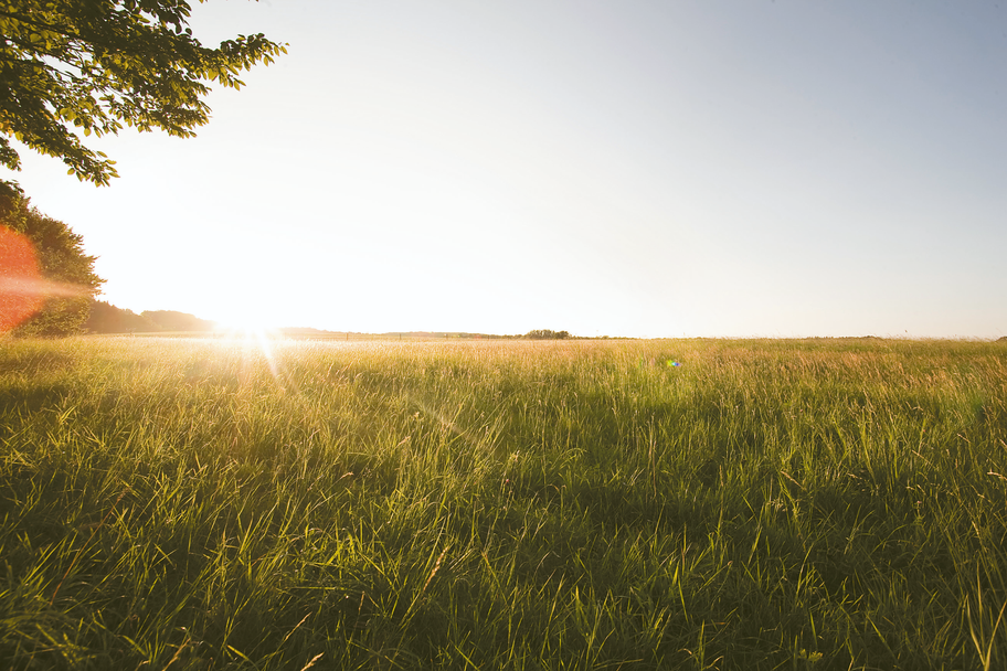 Goldene Wiesen am Goldberg