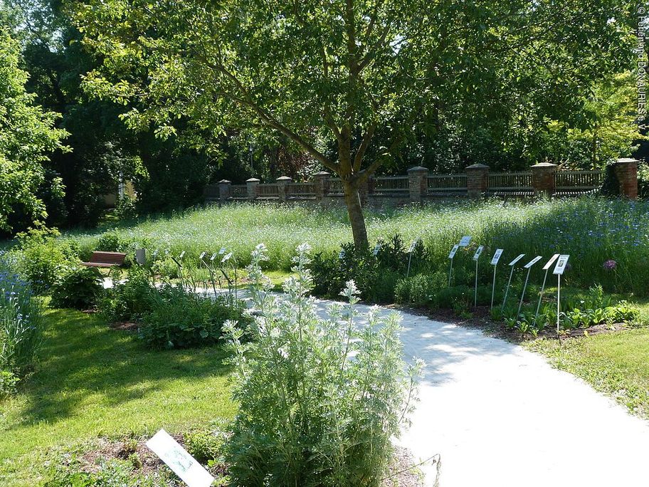 14222327_kraeutergarten-donauwoerth_weg.jpg
