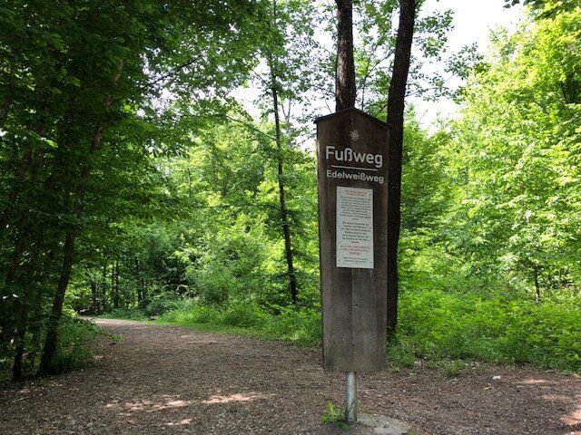 Waldlehrpfad im Stadtwald