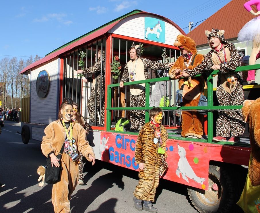 Faschingsumzug Höchstädt