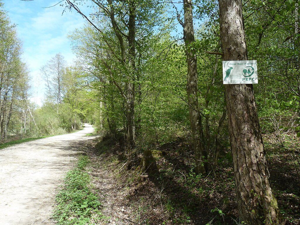 Wanderweg Fuggerholz