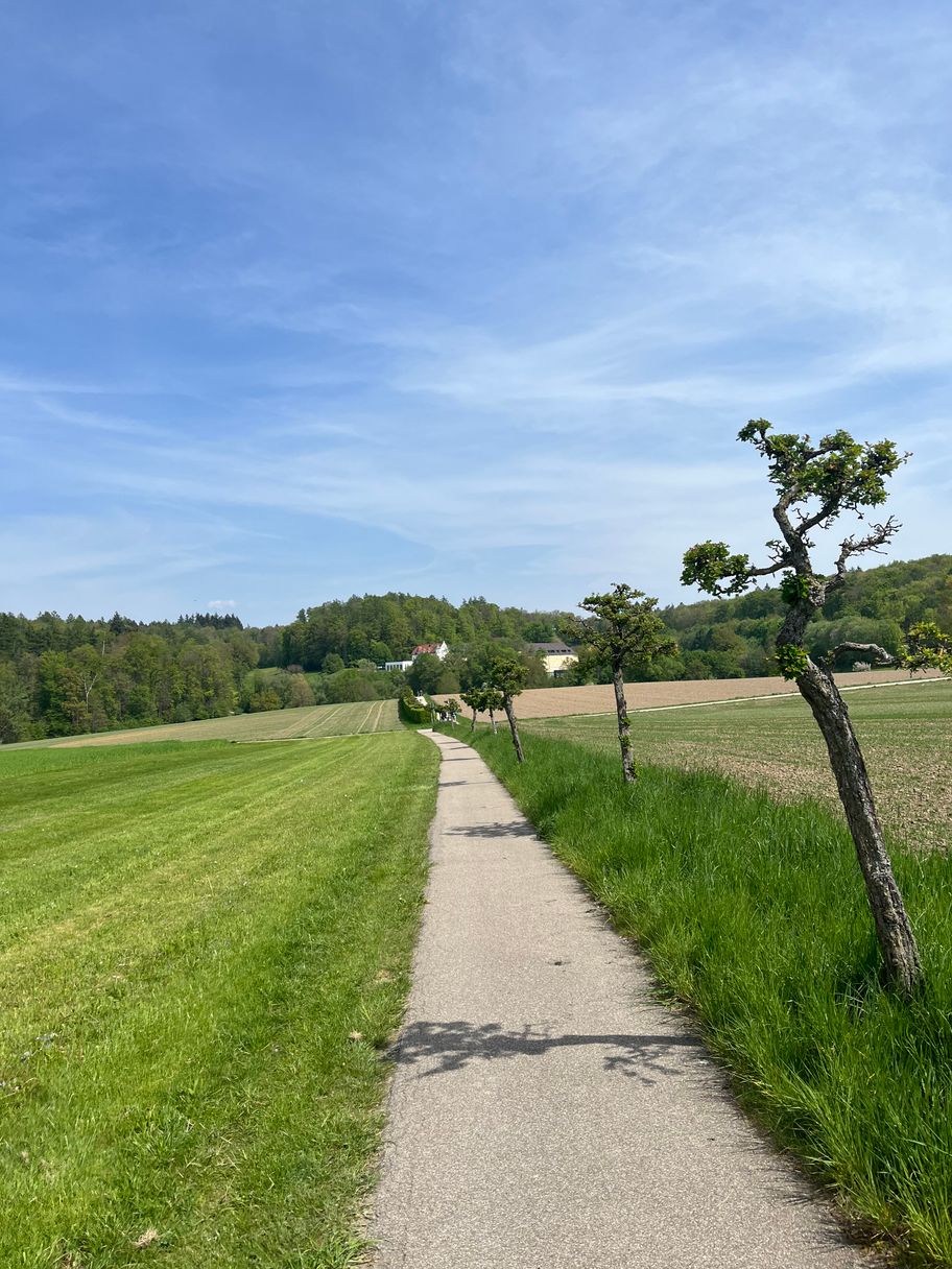 Rückweg zum Krumbad