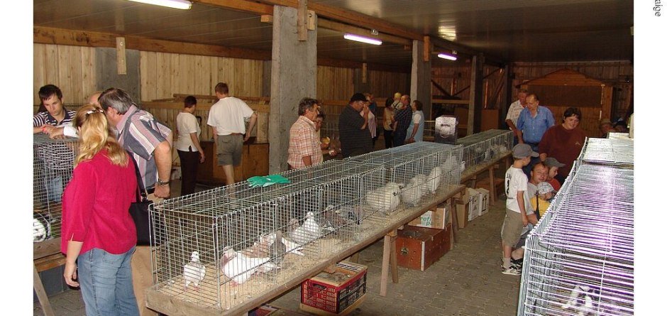 Kleintier- und Flohmarkt