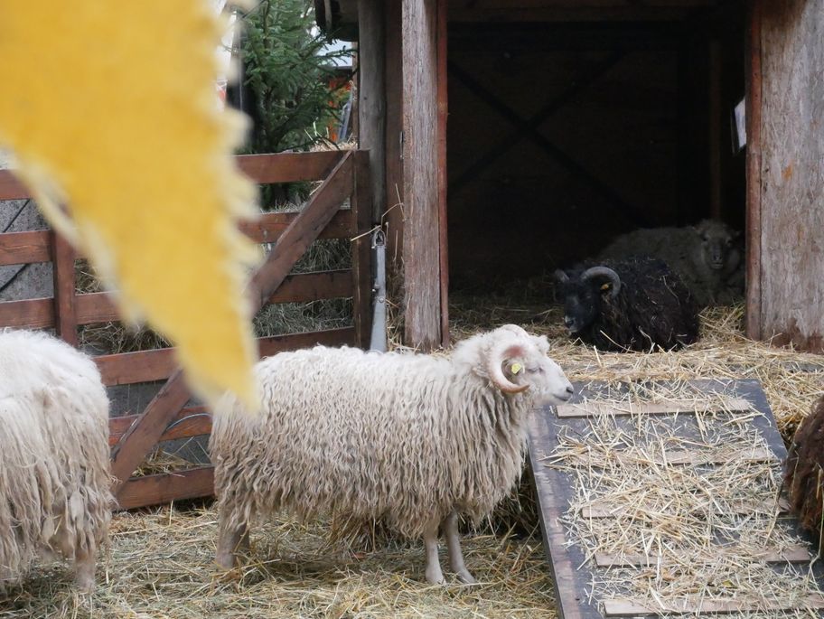 Mittelalterlicher Weihnachtsmarkt