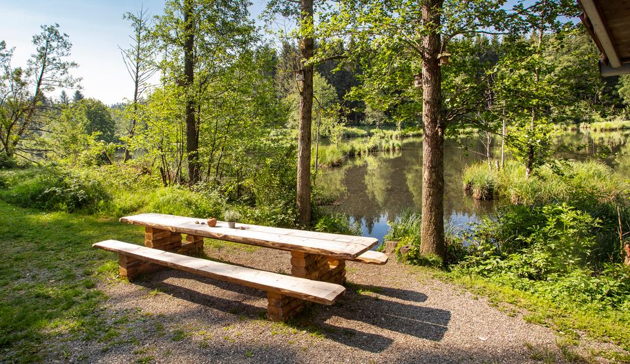 Weiergehauweg Autenried Streifzüge