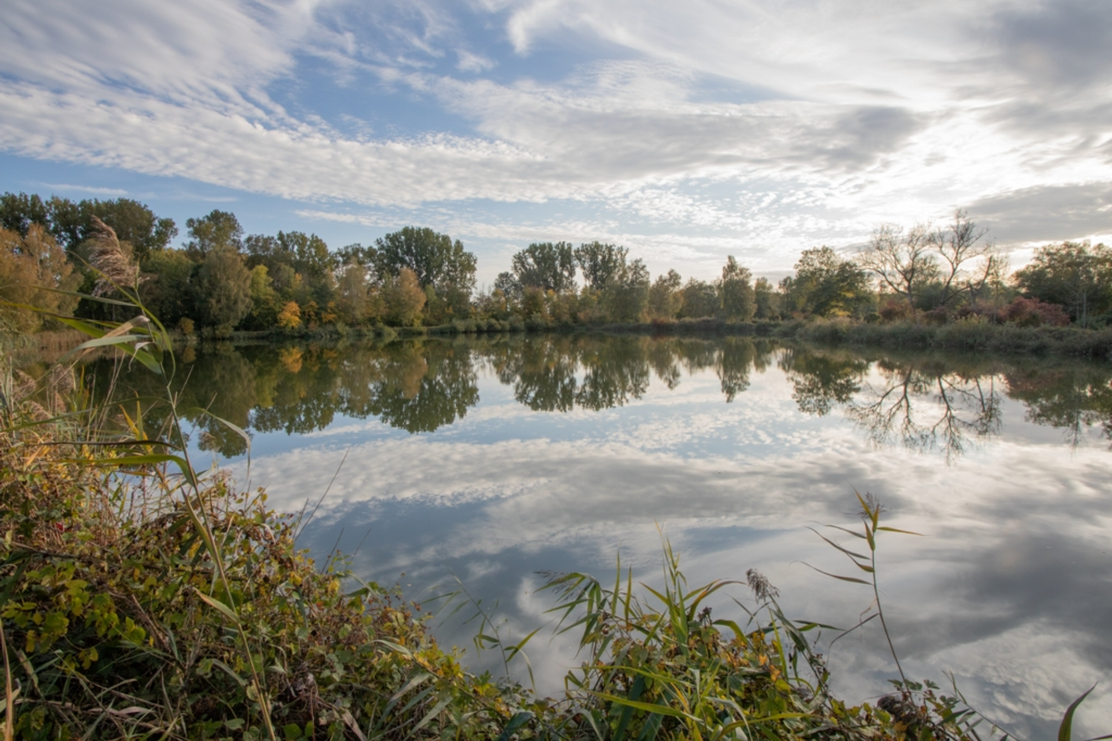 Bruckmahdseen bei Schwenningen