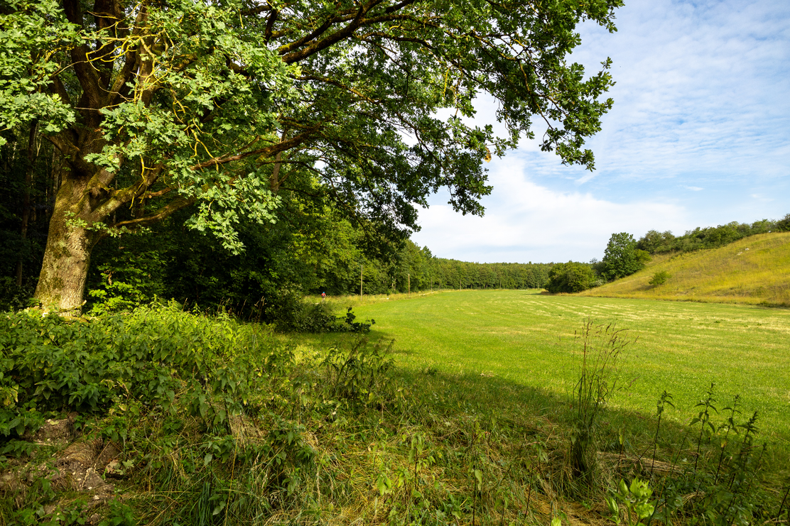 Naherholungsgebiet Pfannental