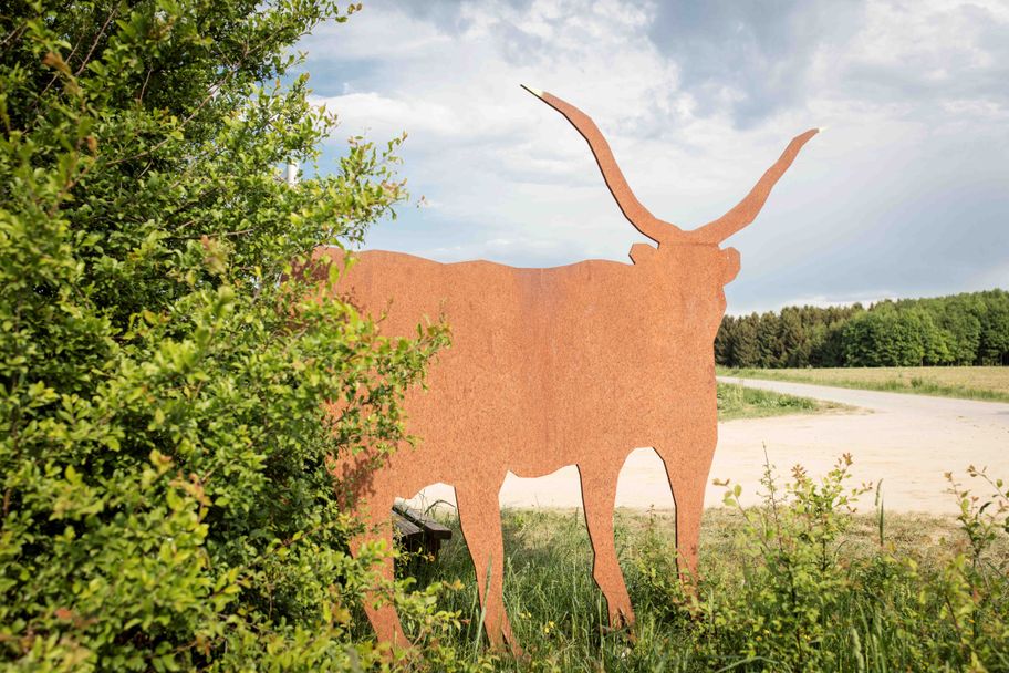 Auf dem Weg im Dachauer Land