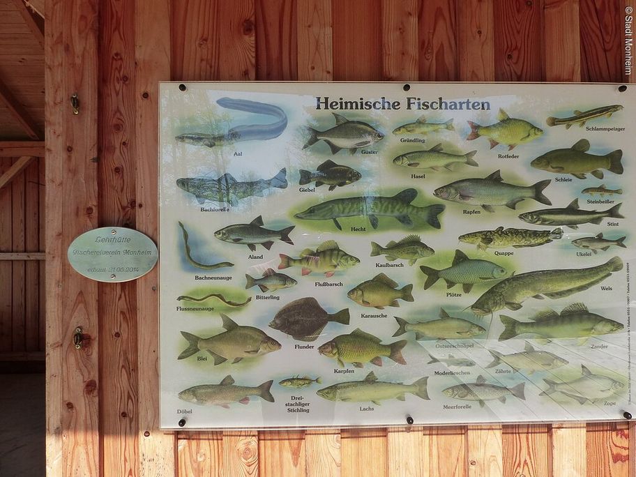 17891747_fischereilehrhuette-4.jpg