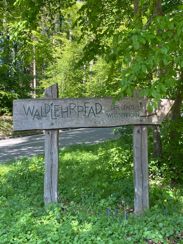 Streifzüge Schallerweiherweg Waldlehrpfad