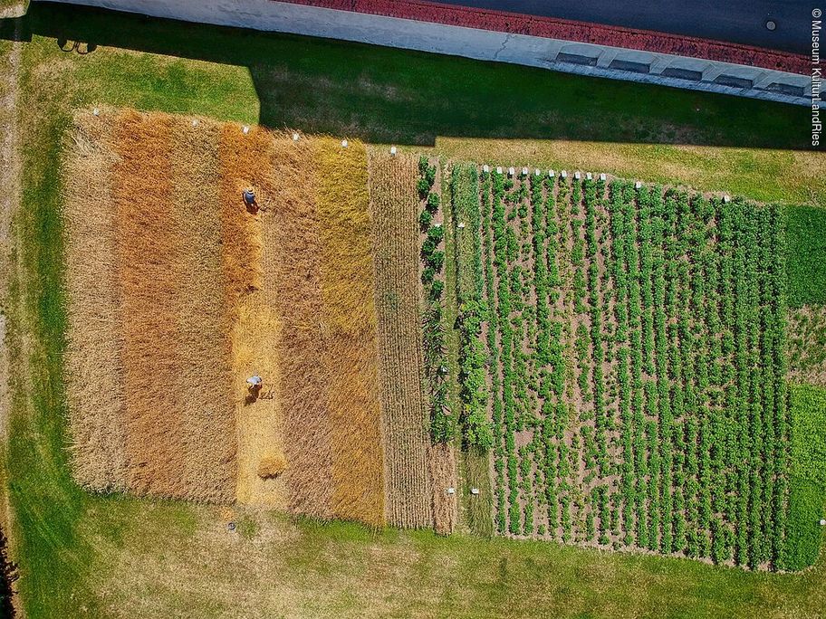 13136163_2022-06-22_mklr__museumsfeld-aerial_002_matthias_meyer.jpg