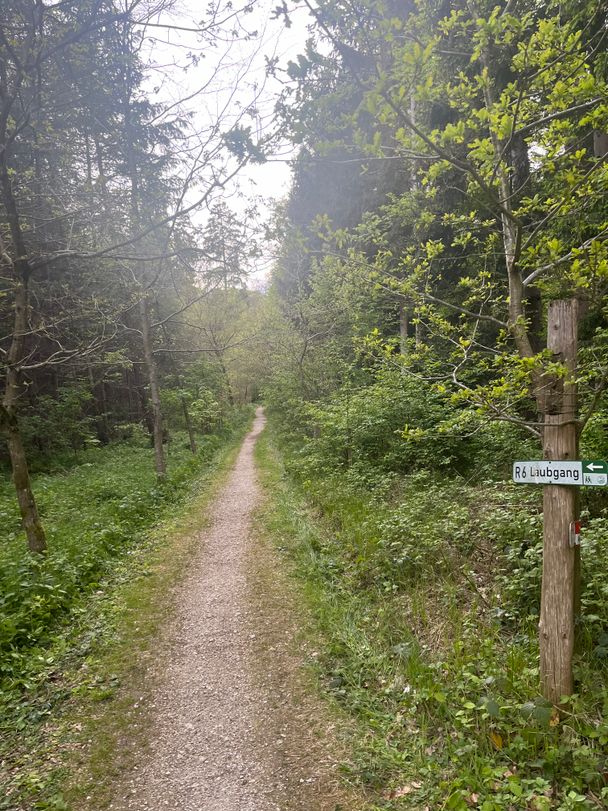 Eingang Laubgang