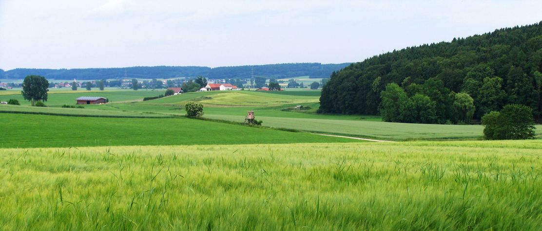 Mariensteig-Tour zwischen Kellmünz und Altenstadt