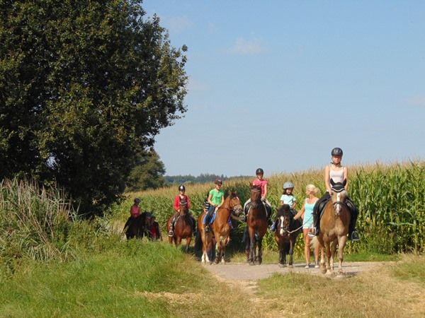 reitverein-dillingen