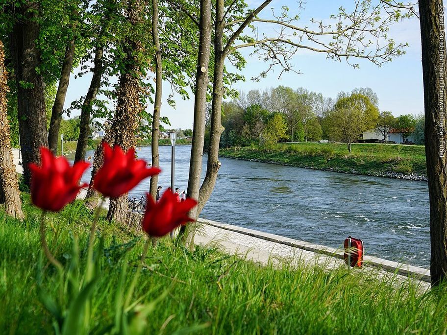 15202343_donauwoerth_alter-donauhafen_3.jpg