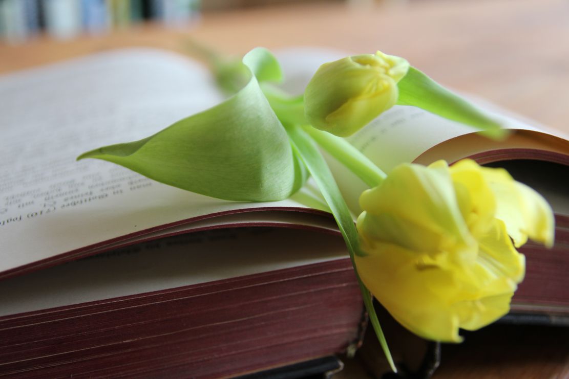 Literarische Gartenreise