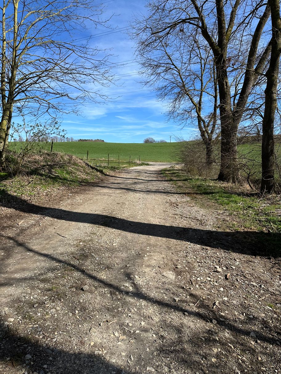 Feldweg nach Deisenhausen