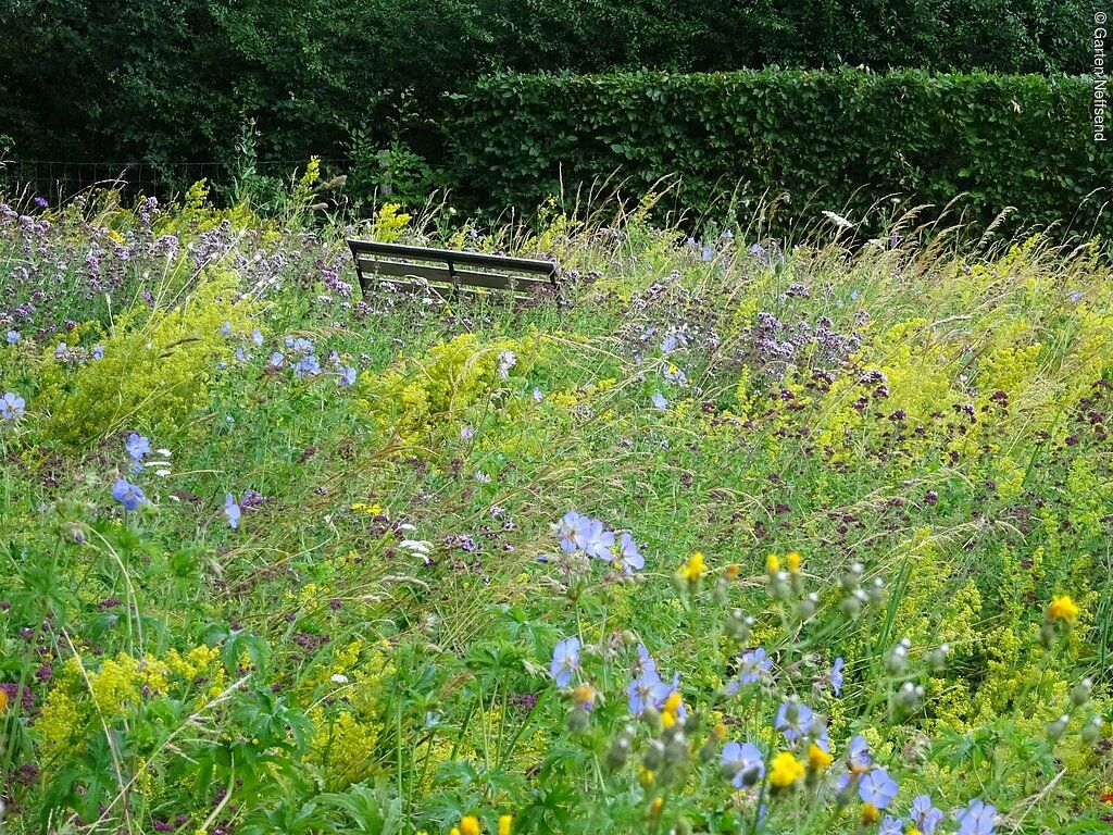 Landschaftsgarten Neffsend