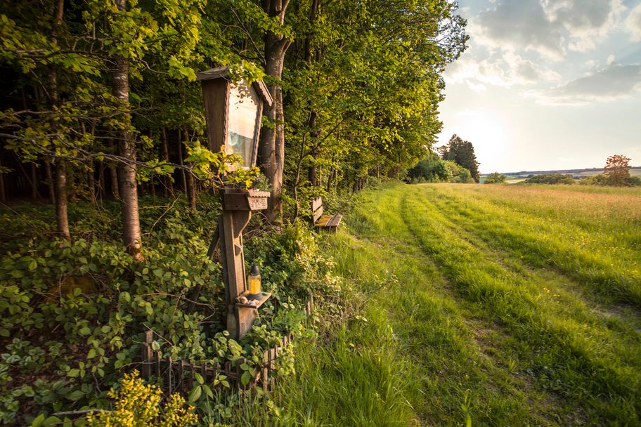 Streifzüge Roggenburger Klosterblick