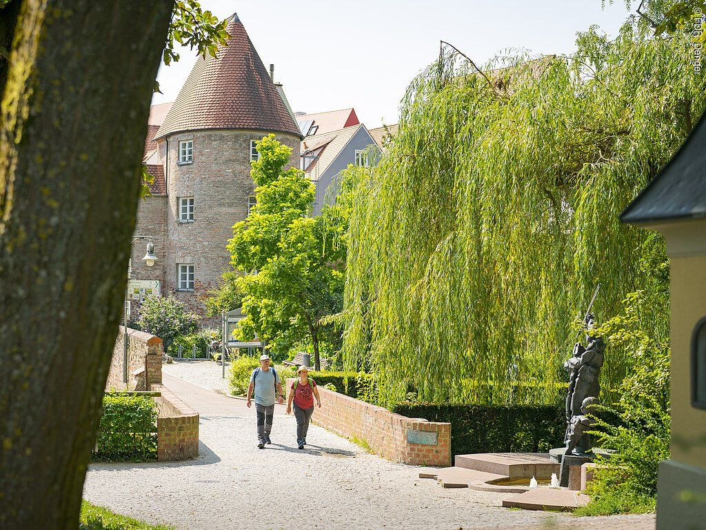 17613417_donauwoerth-zaubergeigenbrunnen_1_dd.jpg