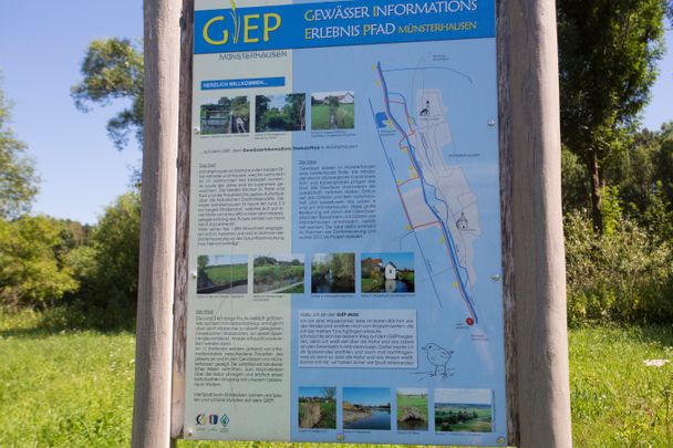 GIEP