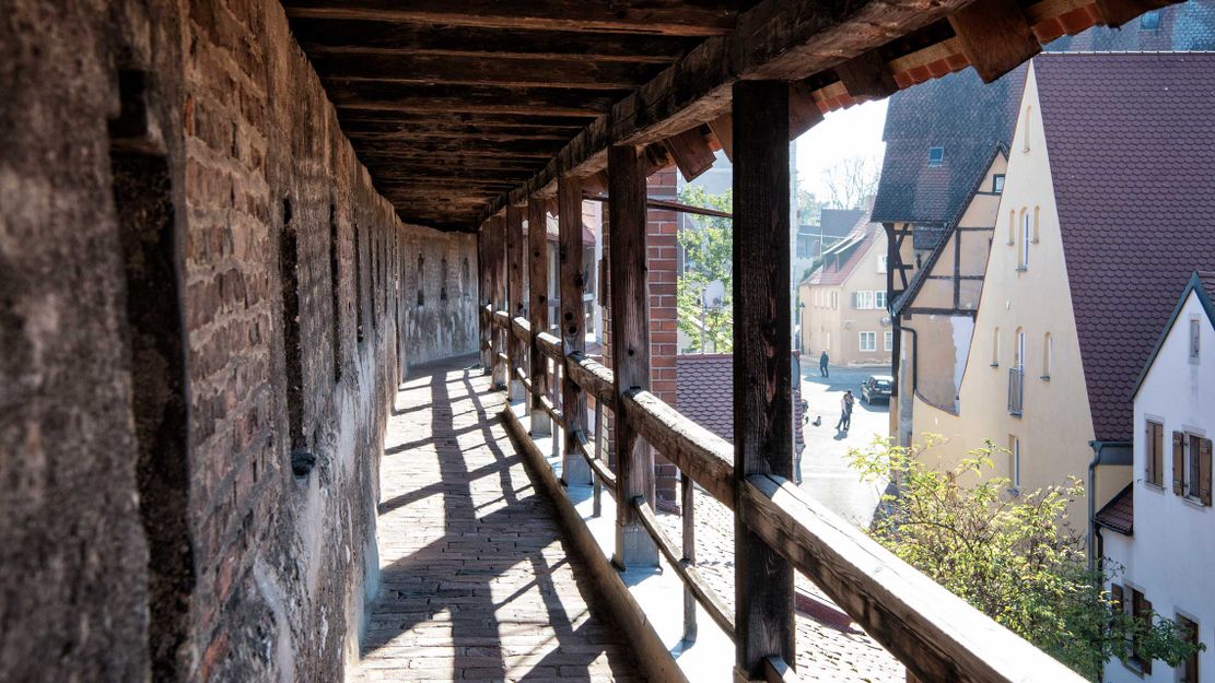 n-_stadtmauer_trykowski