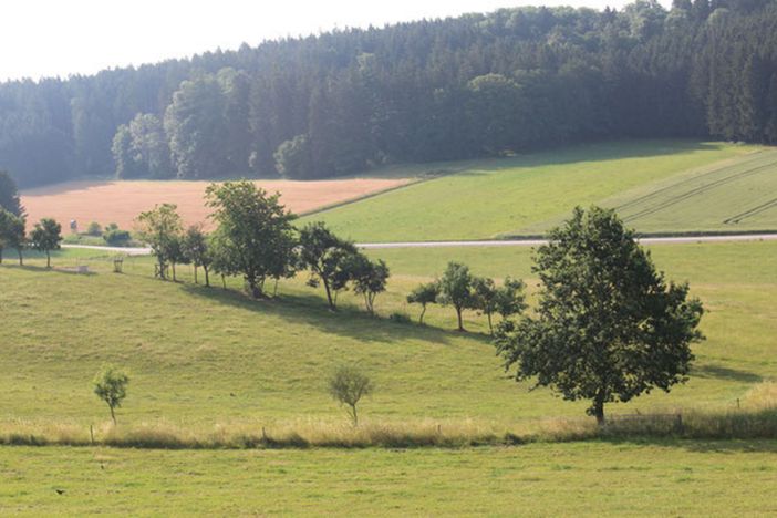 Blick aus dem Fenster