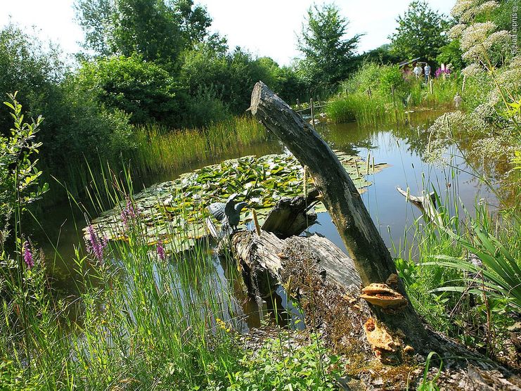 Naturlehrgarten