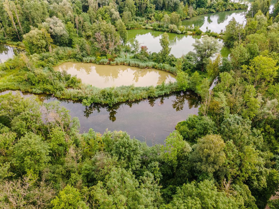 Elchingen Seenlandschaft Drohnenaufnahme 08-2021©Deutsche Donau-Maximilian Semsch.jpg