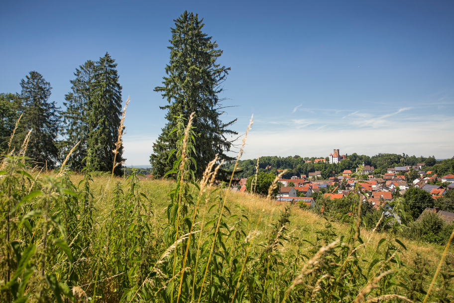 Blick auf Reisensburg