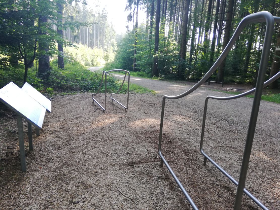 Friedberg_Bachern_Trimm dich Pfad_© David Hein (10).jpg