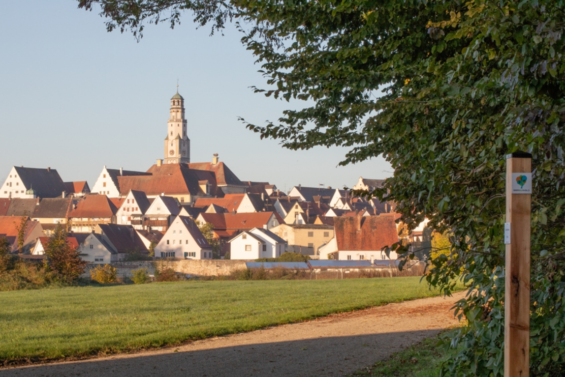Blick auf Lauingen mit Schimmelturm