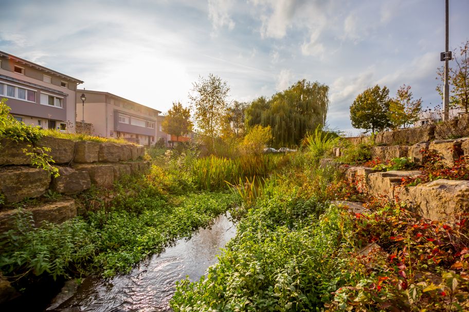 Gewässerpark Günzaue