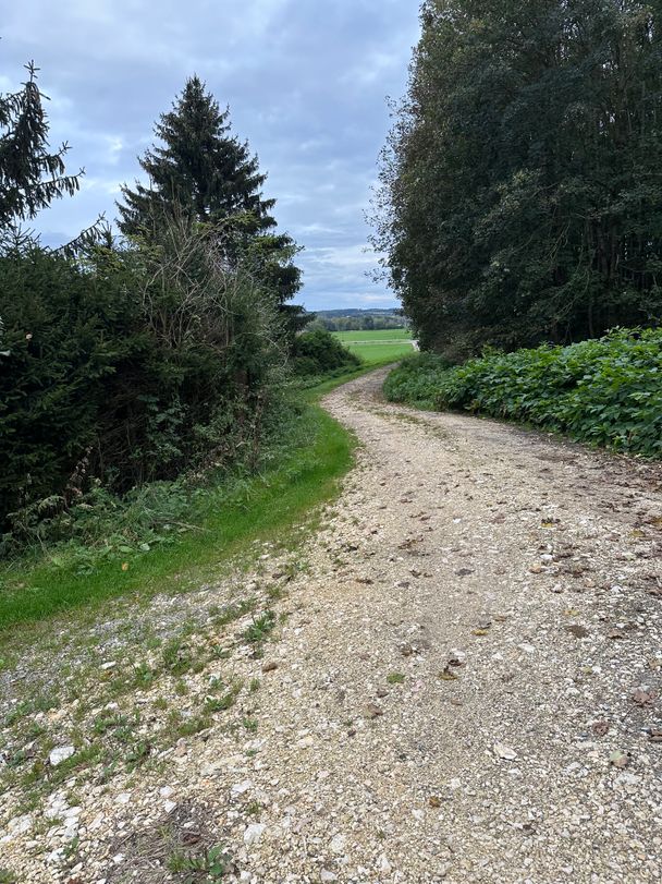 Feldweg in Richtung Stausee