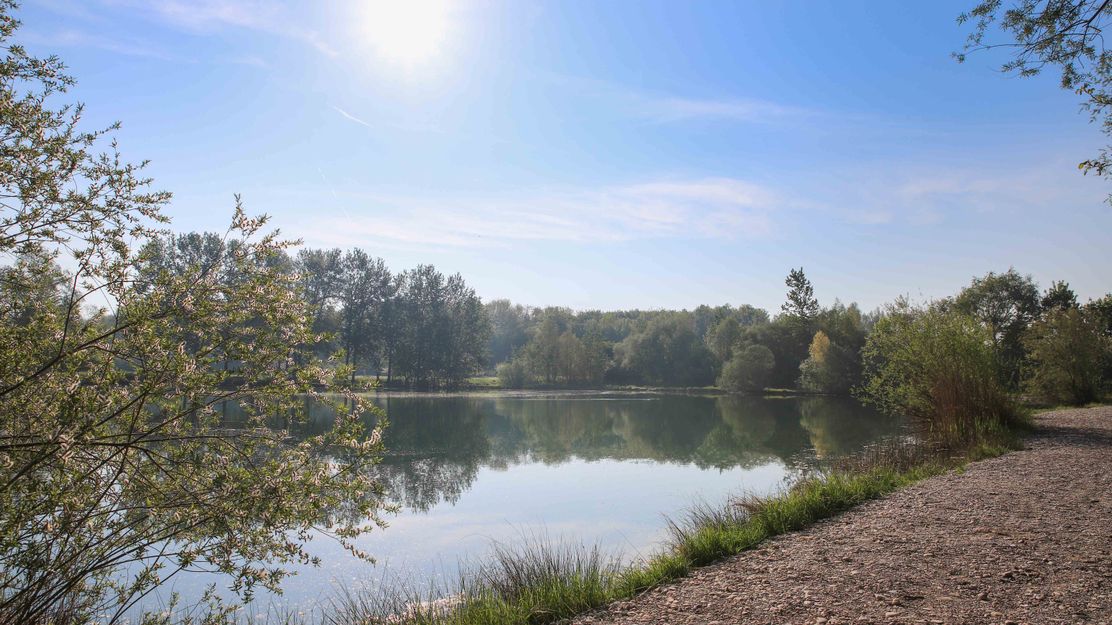 Badesee Ellgau_Ellgau_Julia Pietsch (2).jpg