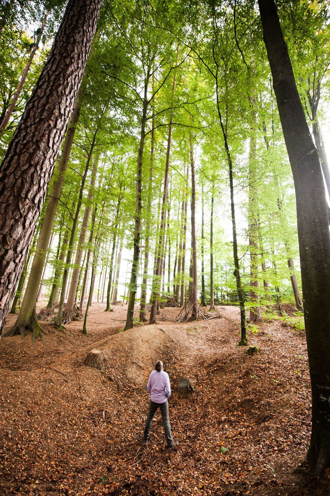 Walderlebnispfad im Grubet